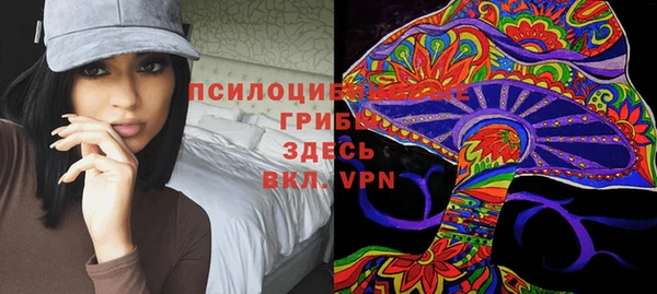 ECSTASY Пестово