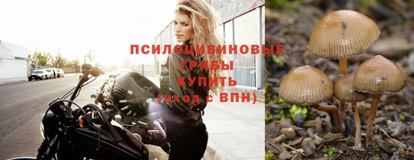 ECSTASY Пестово