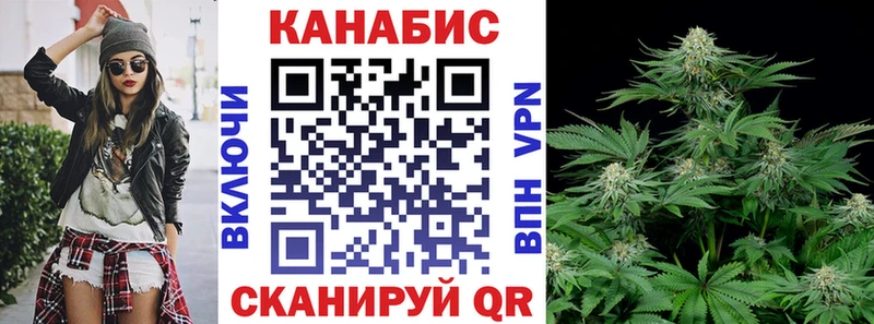 Конопля план  Кологрив 